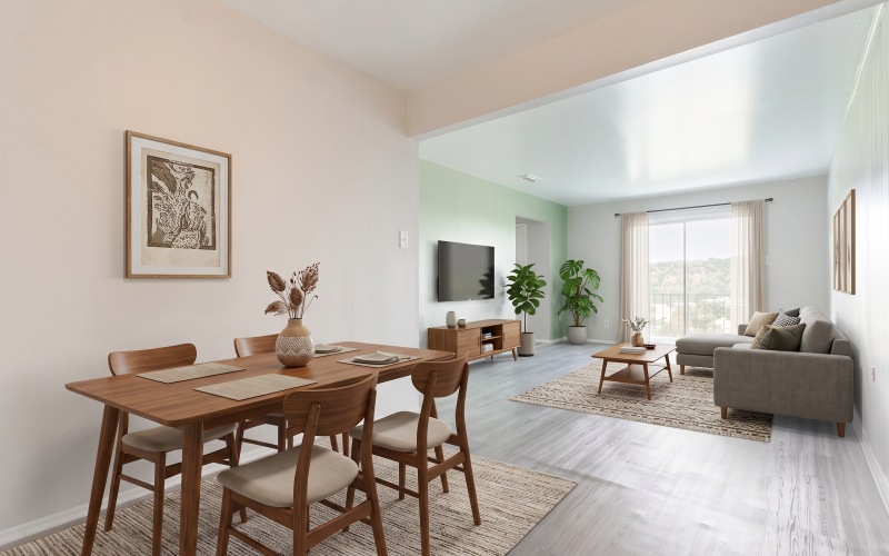 Open space living area with natural lighting